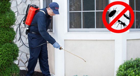 Kapaklı Haşere İlaçlama böcek ilaçlama ve haşere kontrolü — ilaclama-tr.com